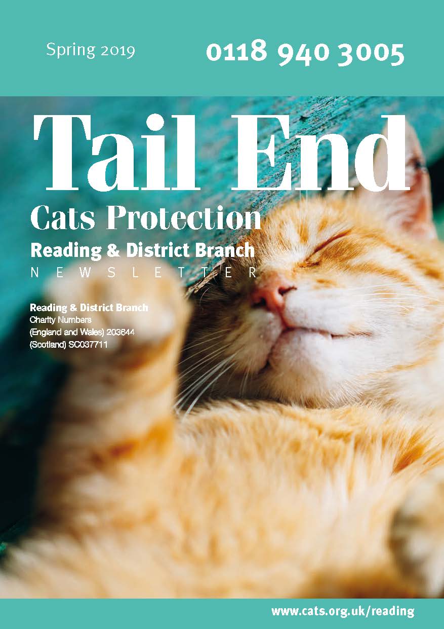 Tail End
